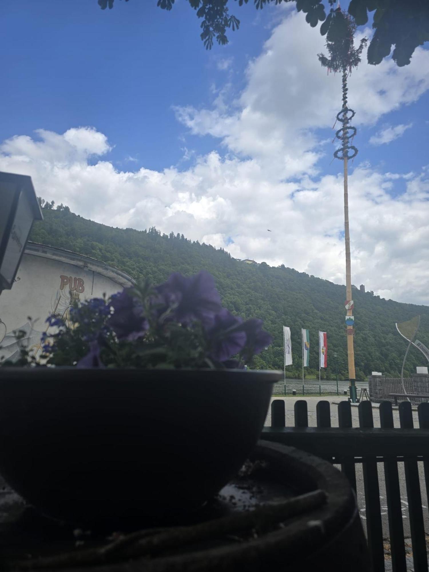 Gasthof Zum Schiffmeister Wesenufer Exterior foto