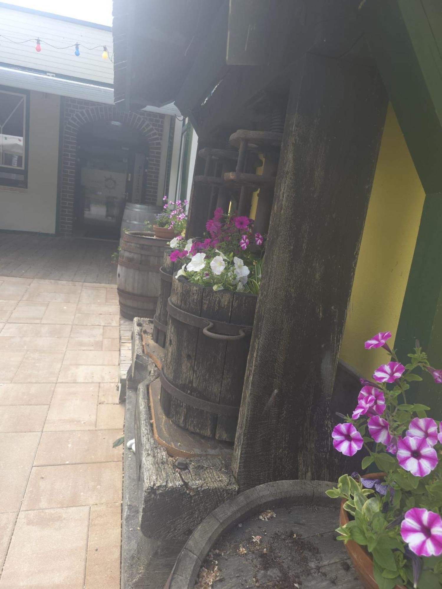 Gasthof Zum Schiffmeister Wesenufer Exterior foto